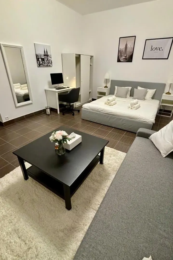 Stunning Apartment In Prague 3